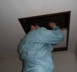 小屋裏の耐震診断を行う様子