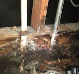 水回りの耐震診断を行う様子